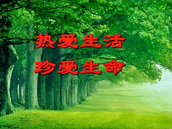 6205345905_d59a564256-160x160