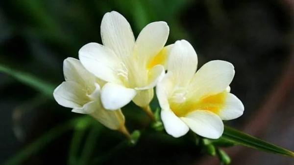 播音主持表演台词（播音主持表演台词训练）