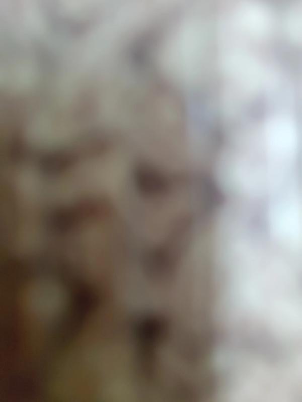 6205345905_d59a564256-160x160