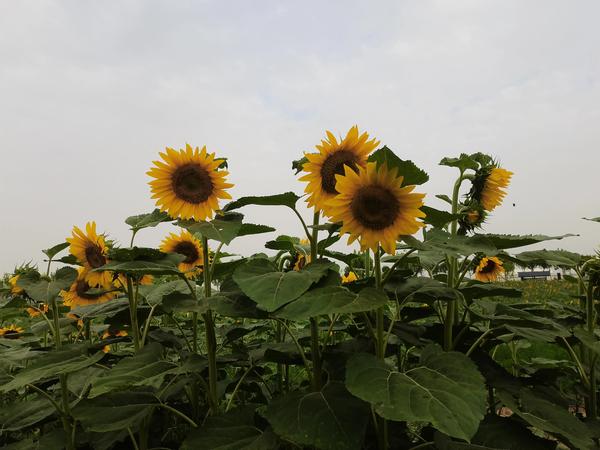 6205345905_d59a564256-160x160