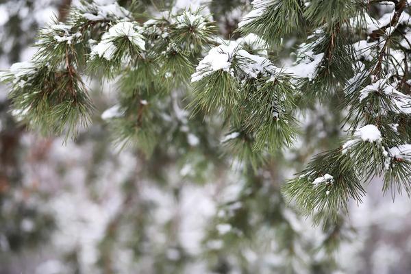 半年度应收账款周转率怎么计算（半年度应收账款周转率怎么计算公式）