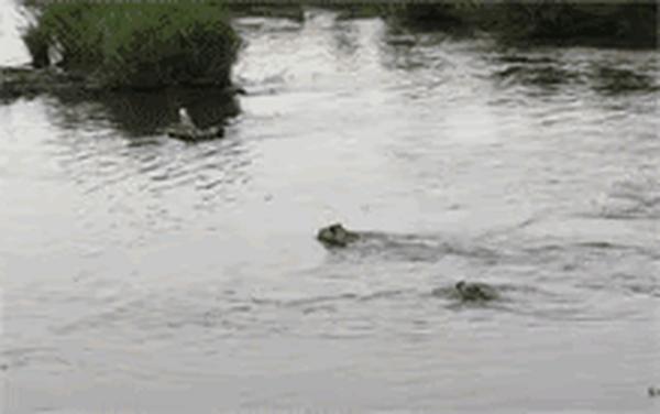 6205345905_d59a564256-160x160