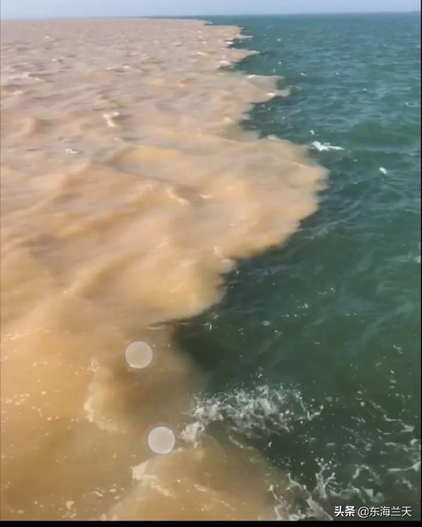 鲁滨逊漂流记简介30字左右(鲁滨逊漂流记简介30字左右,在荒岛)