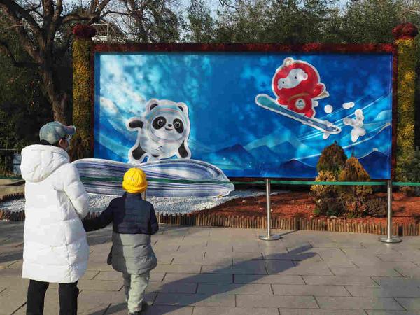 冰墩墩的来历（冰墩墩最恐怖的一面）