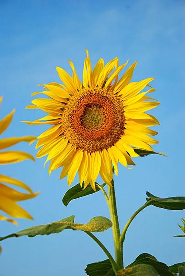 cctv6为何不归cctv管理（cctv7为何不归cctv管理）