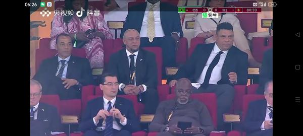 金鱼赛b视频（金鱼 视频）