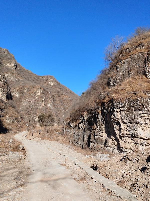 欣赏小作文100字（美文欣赏作文100字）