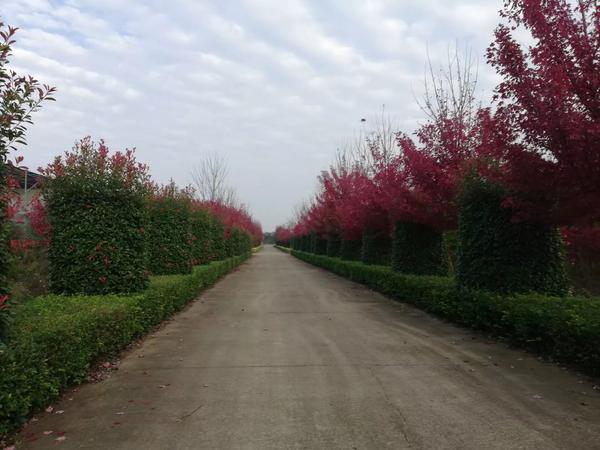 《简爱》女生经典独白（《简爱》女生经典独白稿件）