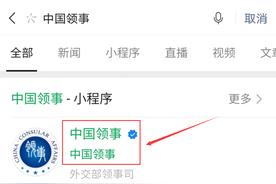 在中国领事app办理护照需要多久（中国领事app微信小程序）