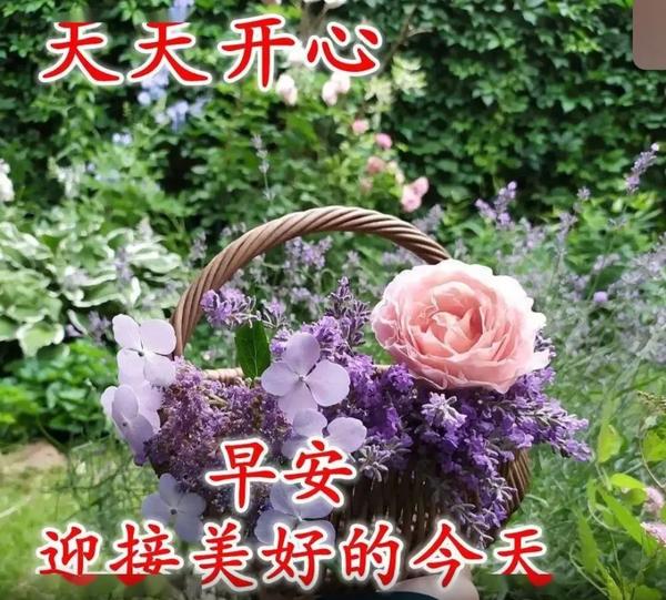 expr