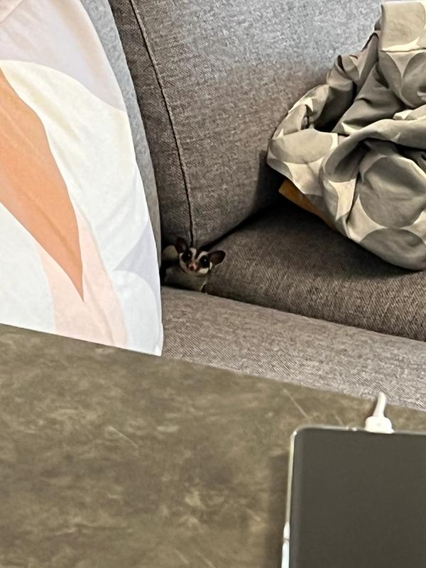 扮演的角色不同 要求也不同(每个人扮演的角色都不一样)