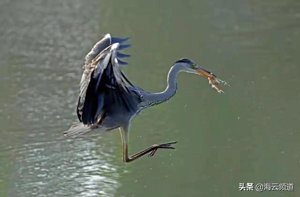 2013年高考时间是几月几号(2013年高考日期是什么时候)