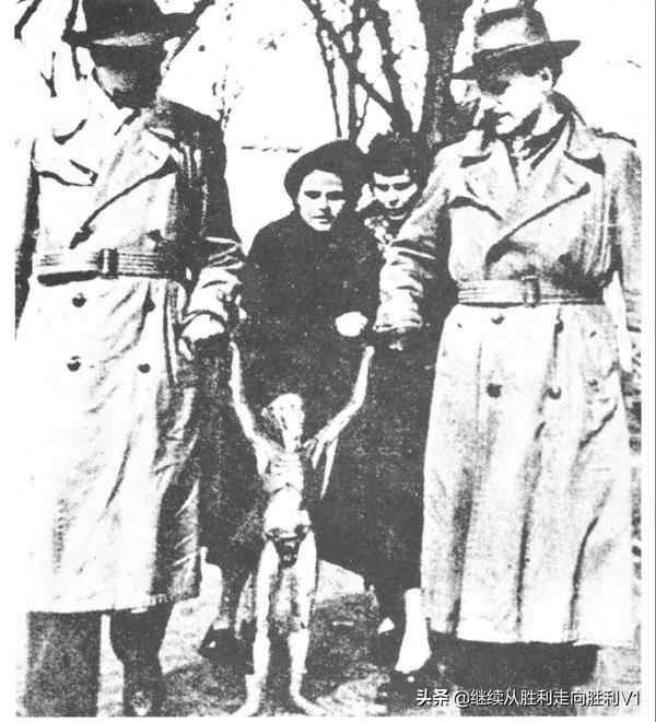 2007年墨西哥外星人（2007年墨西哥外星人宝宝事件）