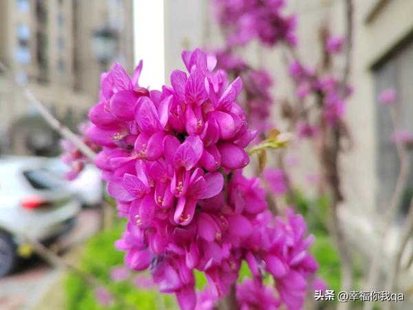 粉丝怎么给明星做数据（粉丝怎么给明星做数据的）