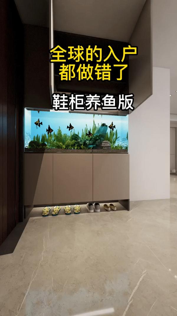 鱼缸过滤器安装视频（小型鱼缸过滤器安装视频）