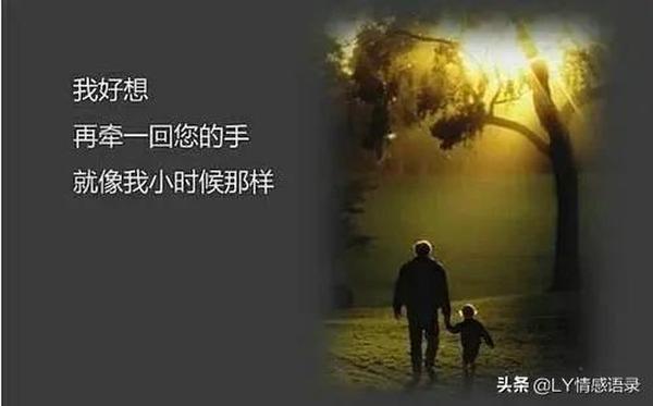 白桦有没有死（白桦有没有被人挖了）