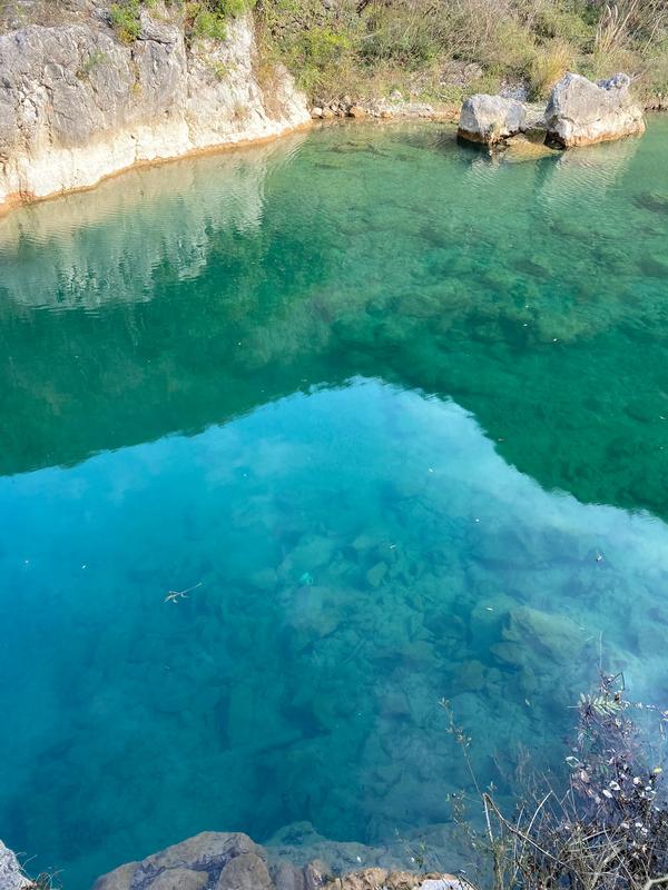 虫星记事（虫星记事免费阅读）