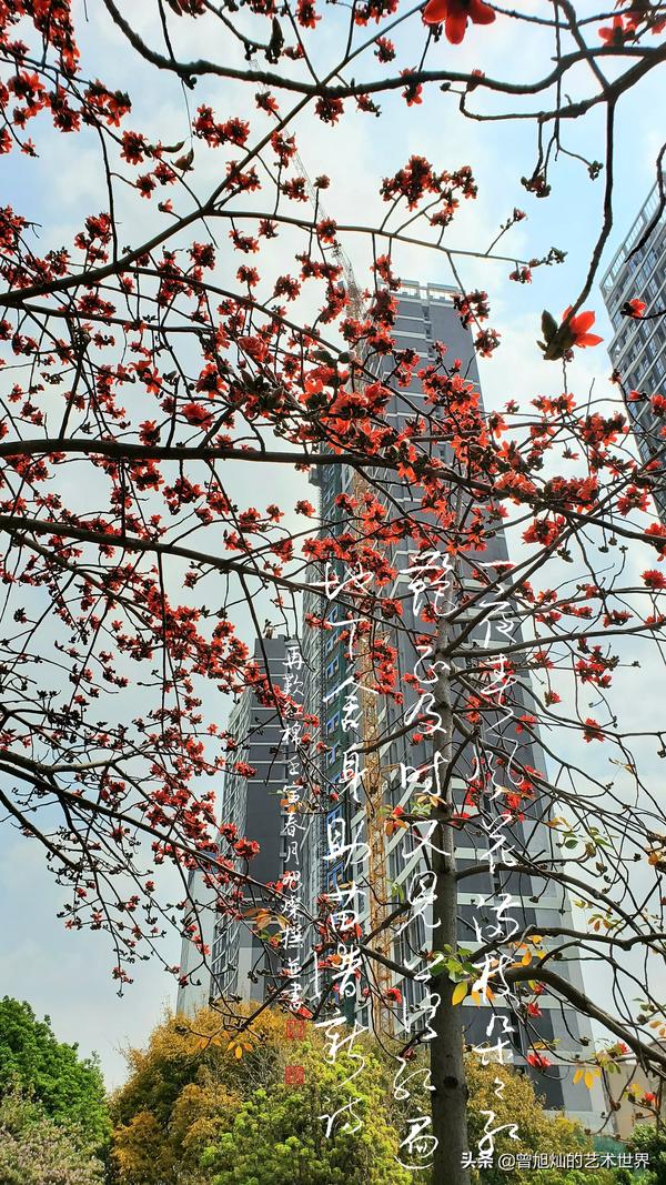 壬寅年落款书法行书(2022年四月书法作品落款怎么写)