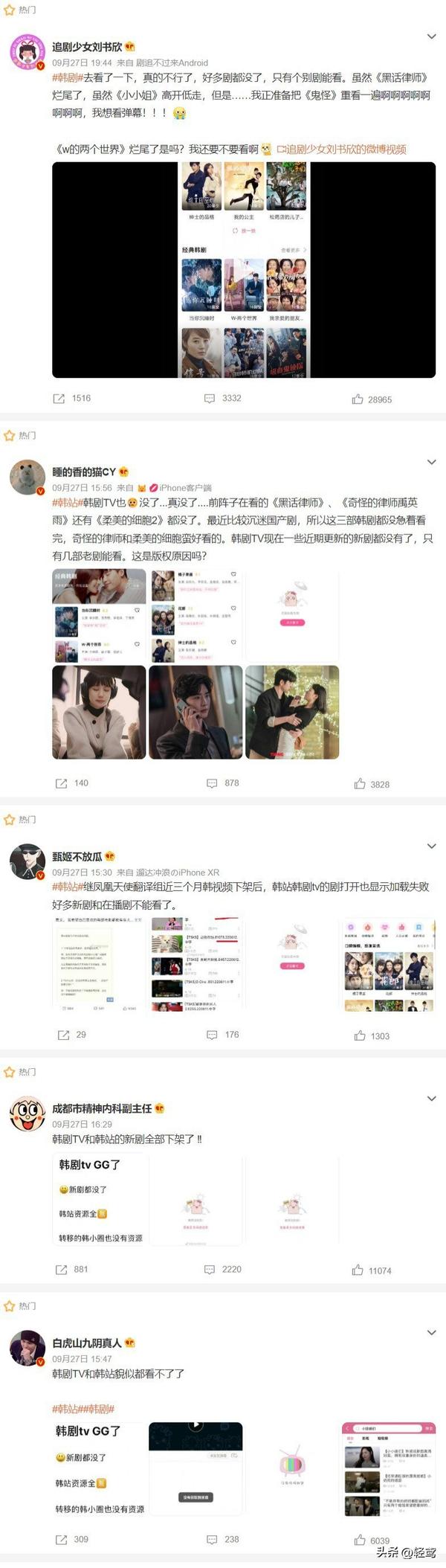 凤凰天使韩剧社微博(凤凰天使韩剧社的微博)