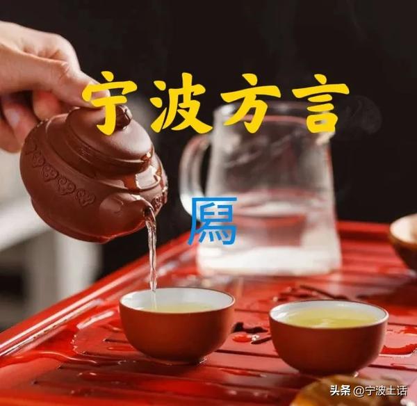 倾有几个读音(倾有几个读音并组词)