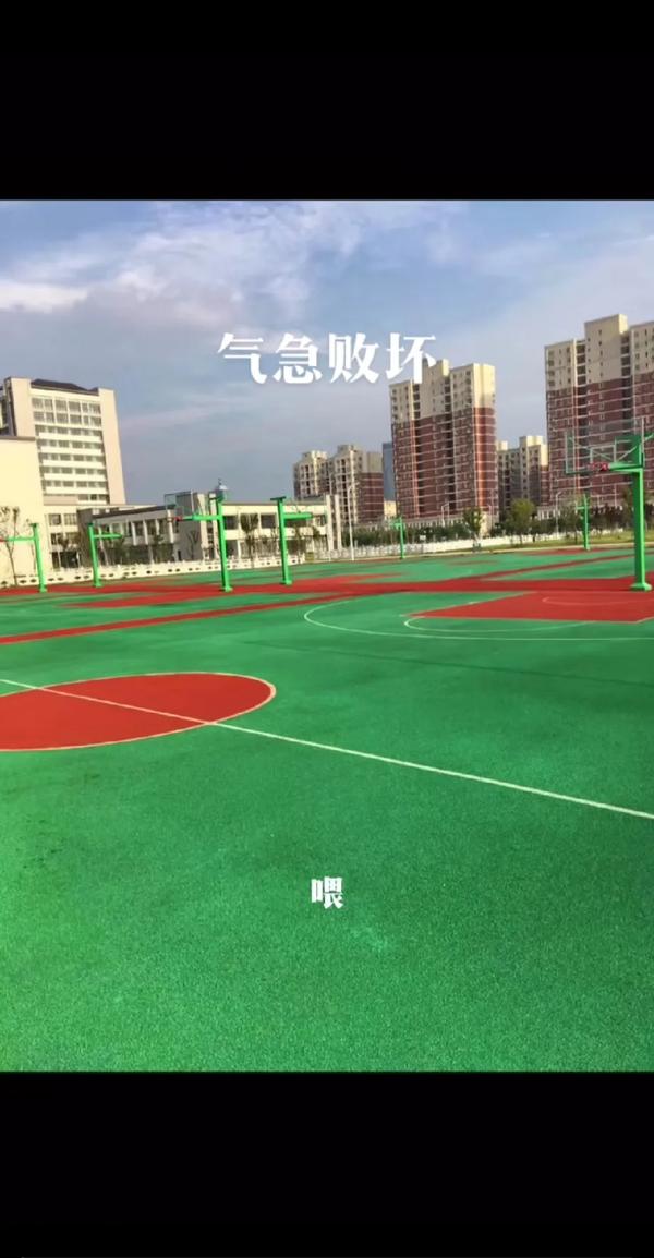 最佳拍档图片大全（最佳拍档图片大全集）