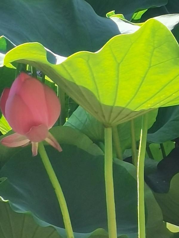 导演有点皮(导演有点皮起点中文网)