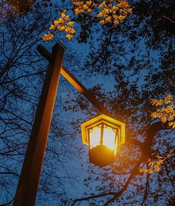 30首带月的古诗(30首带月的古诗一年级)