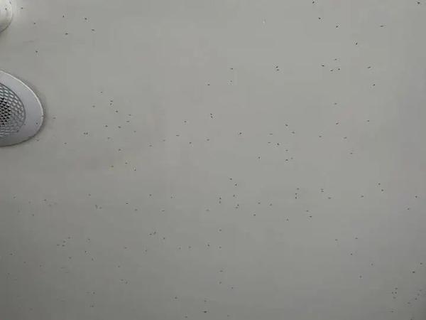 风吹过的街道钢琴谱虫虫(风吹过的街道 钢琴谱)