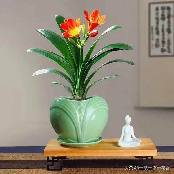 年年胜今朝（年年胜今朝的解释意思）