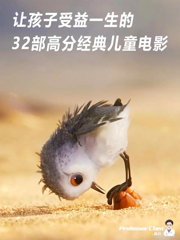 适合孩子看的奥斯卡经典电影(适合孩子看的奥斯卡最佳影片)