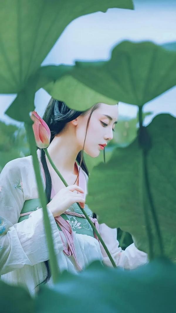 赋念什么（赋念什么拼音）