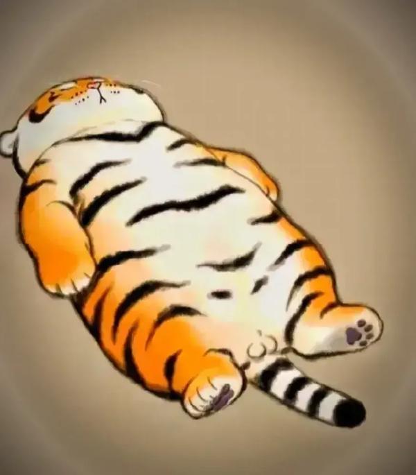 chive和leek的区别(chives和leek区别)