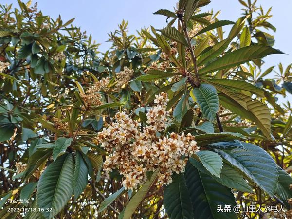 一个接一个仿写句子怎么写(一个接一个仿写句子怎么写三年级)