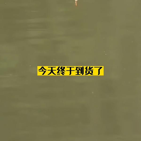 6205345905_d59a564256-160x160