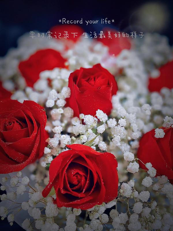 九朵玫瑰花代表什么意思(九十九朵玫瑰花代表什么意思)