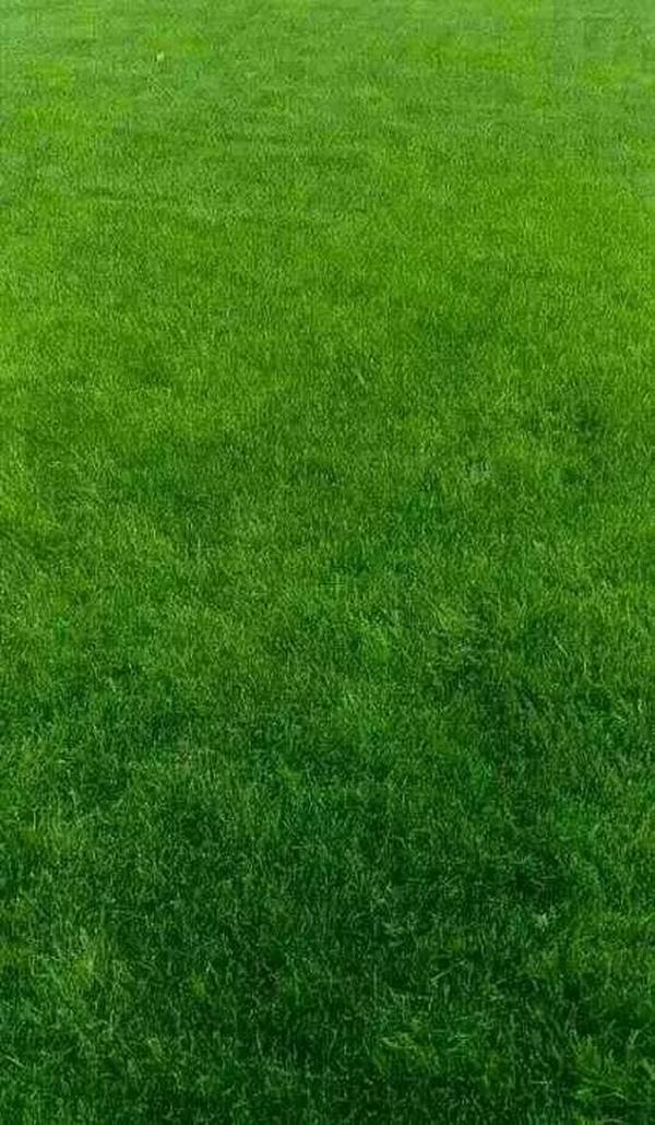 吃人的儿童滑梯（世界上最可怕的电梯）