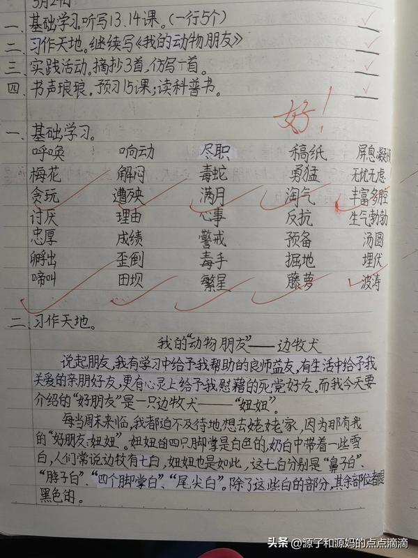 写家里人像小动物的作文（描写小动物的作文200字）