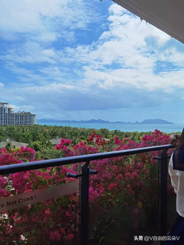 涨粉方式有哪些（涨粉方式有哪些类型）