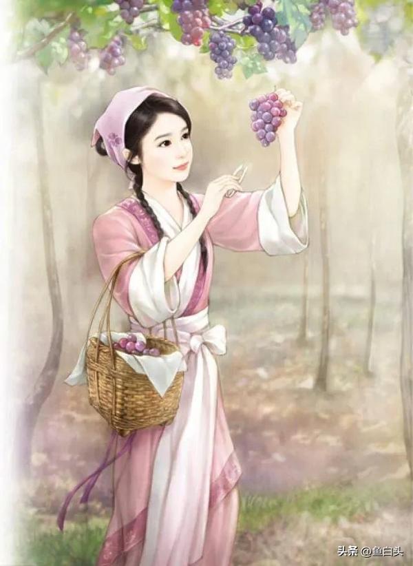 评分很高的种田文（评分很高的种田文已完结）