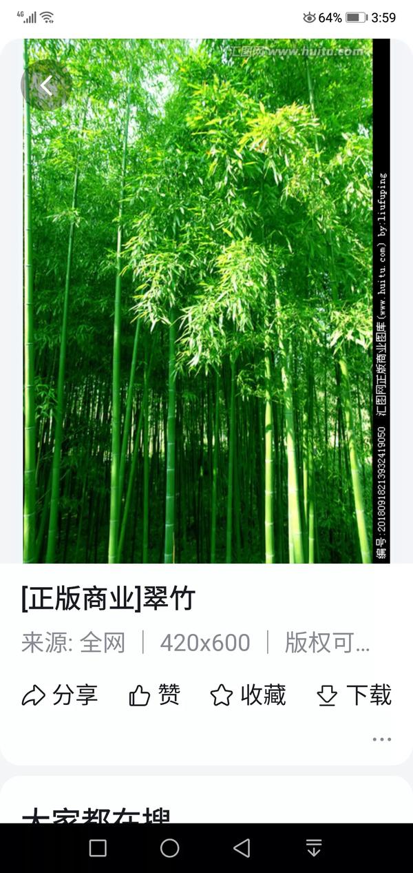 万物生歌词细思极恐（万物生这首歌有多恐怖）