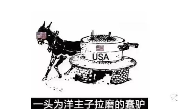 6205345905_d59a564256-160x160