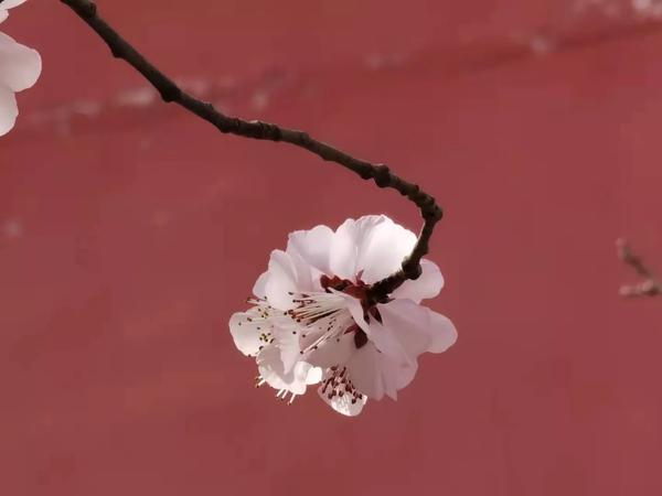 适合练车发朋友圈的句子（练车朋友圈说说心情短语）