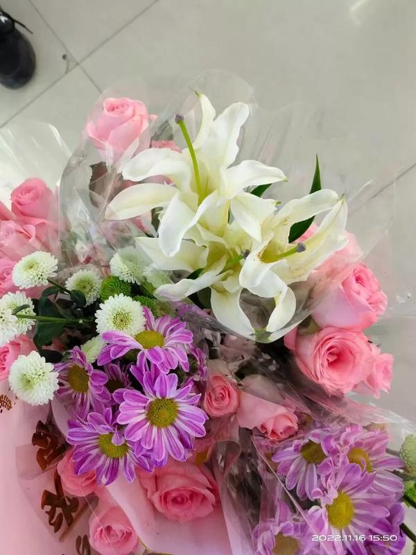 称呼您们好还是你们好(称呼你好和您好有什么区别吗)