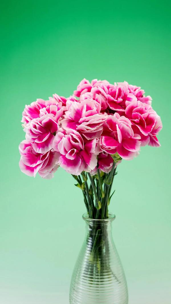 集中的反义词（集中的反义词最佳答案）