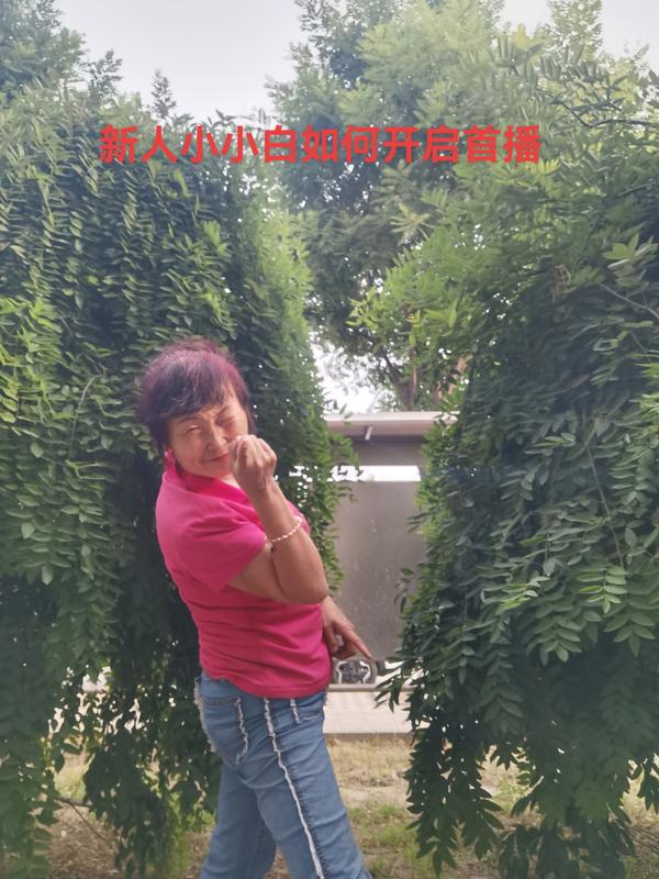 适合夜里看的直播软件_适合夜里看的直播软件有哪些