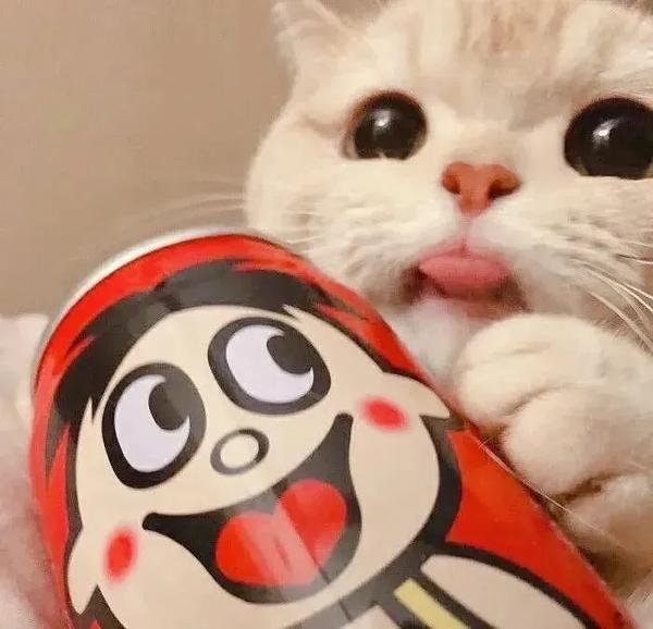 电脑开机不了(电脑开机不了没反应)