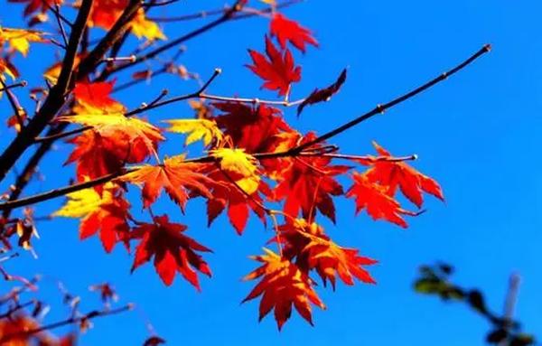 6205345905_d59a564256-160x160