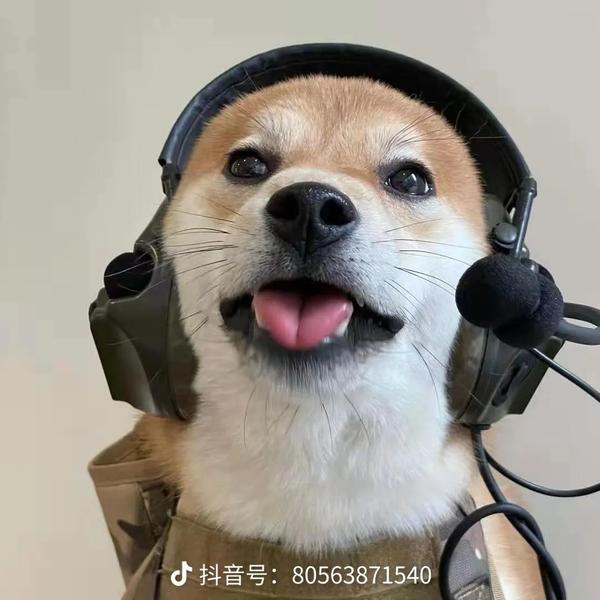 动物图片大全大图（动物图片大全大图真实）