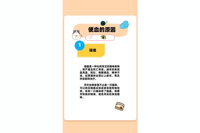 猫咪大便后肛门有血迹？