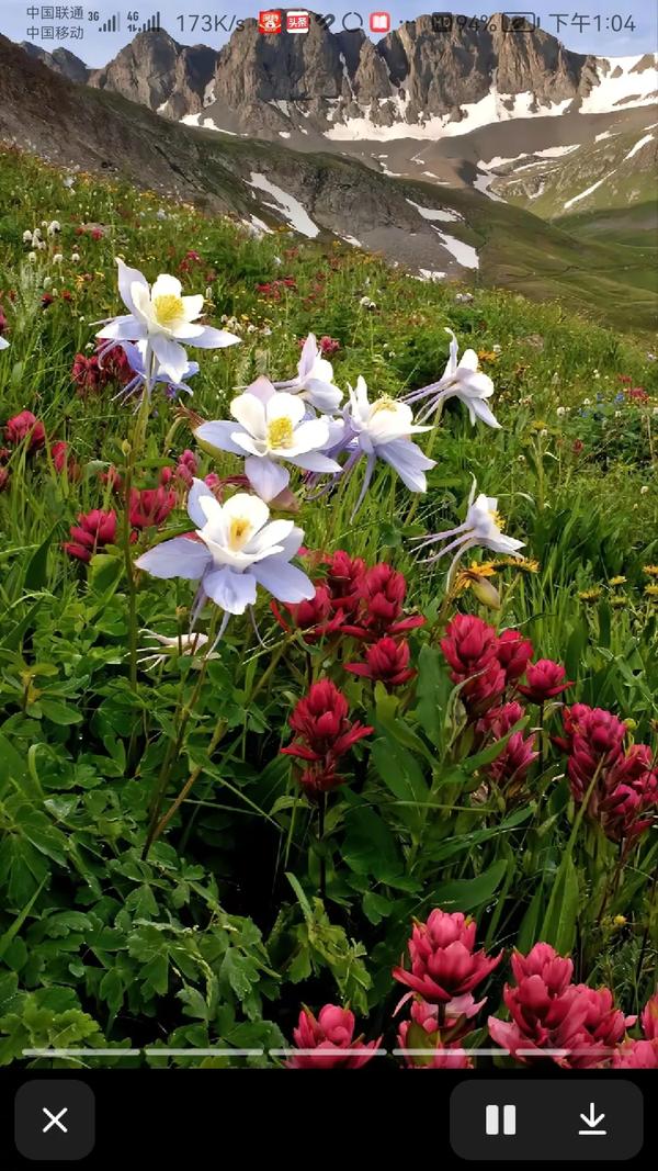 抖音怎么看全部搜索(抖音怎么看全部搜索历史)